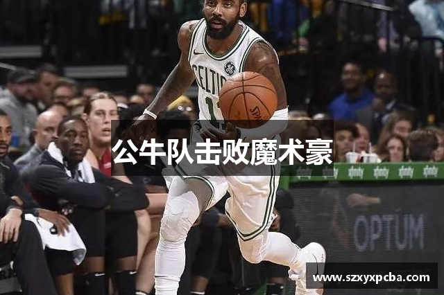 公牛队击败魔术豪