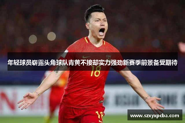 年轻球员崭露头角球队青黄不接却实力强劲新赛季前景备受期待