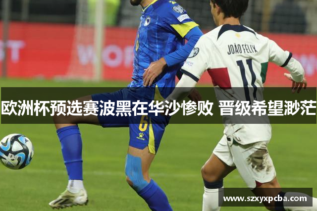 欧洲杯预选赛波黑在华沙惨败 晋级希望渺茫