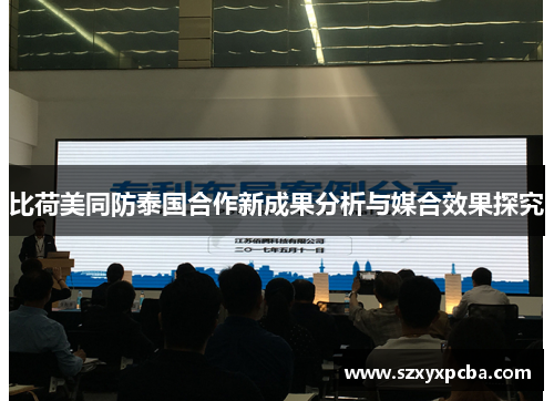 比荷美同防泰国合作新成果分析与媒合效果探究
