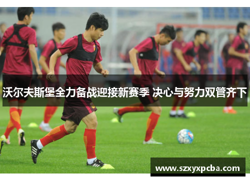 沃尔夫斯堡全力备战迎接新赛季 决心与努力双管齐下