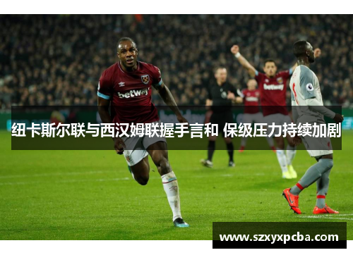 纽卡斯尔联与西汉姆联握手言和 保级压力持续加剧