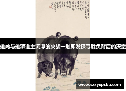 雄鸡与雄狮谁主沉浮的决战一触即发探寻胜负背后的深意