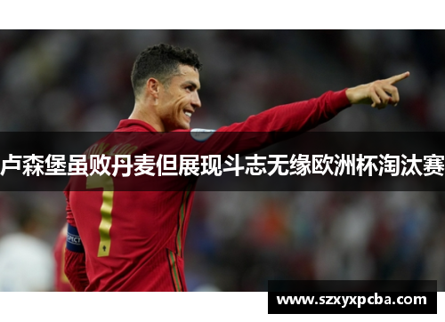 卢森堡虽败丹麦但展现斗志无缘欧洲杯淘汰赛
