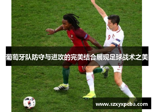 葡萄牙队防守与进攻的完美结合展现足球战术之美
