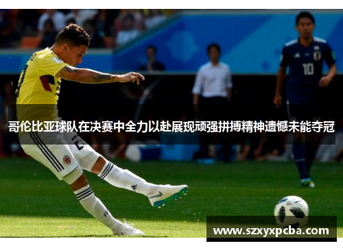 哥伦比亚球队在决赛中全力以赴展现顽强拼搏精神遗憾未能夺冠
