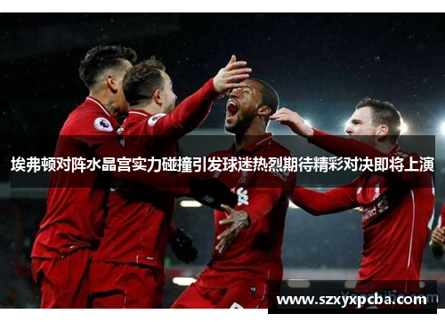 埃弗顿对阵水晶宫实力碰撞引发球迷热烈期待精彩对决即将上演