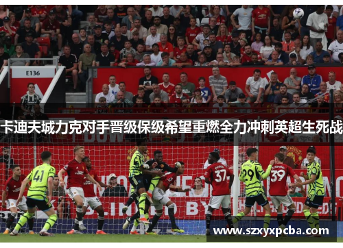 卡迪夫城力克对手晋级保级希望重燃全力冲刺英超生死战