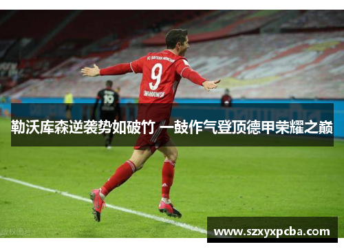 勒沃库森逆袭势如破竹 一鼓作气登顶德甲荣耀之巅