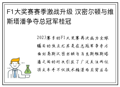 F1大奖赛赛季激战升级 汉密尔顿与维斯塔潘争夺总冠军桂冠