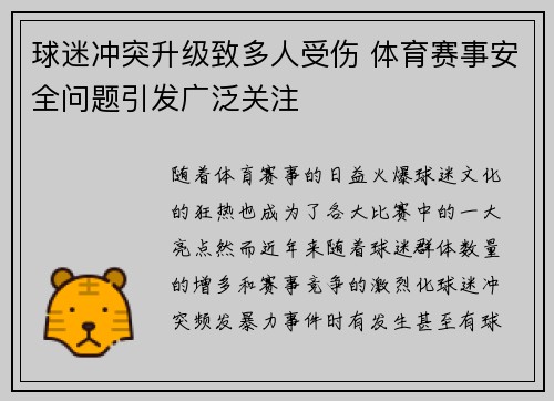 球迷冲突升级致多人受伤 体育赛事安全问题引发广泛关注